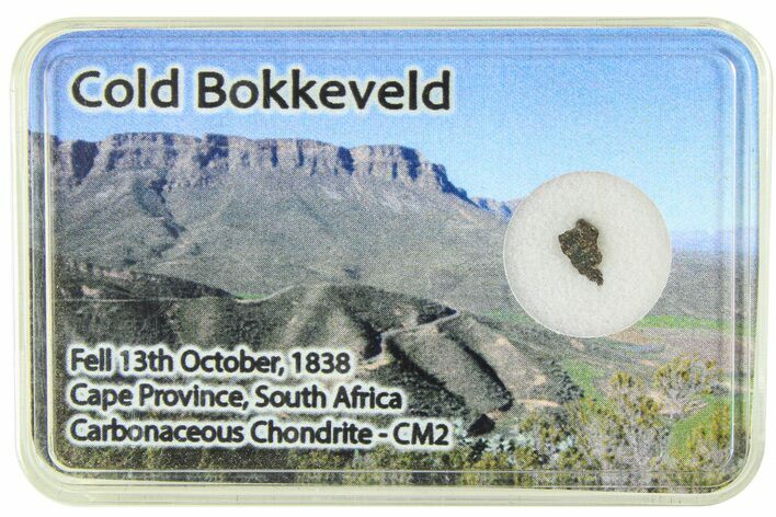 Carbonaceous Chondrite Fragment ( g) - Cold Bokkeveld #285971